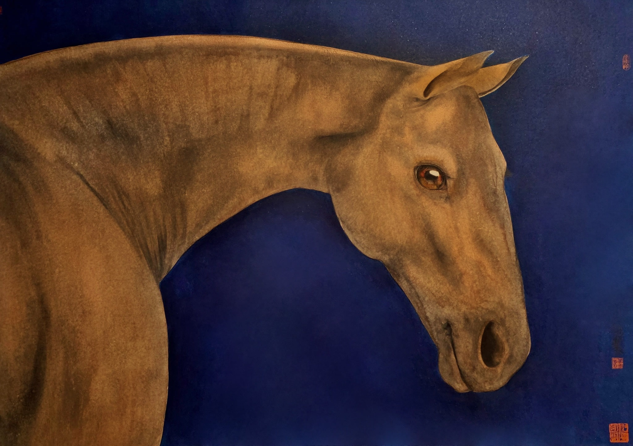 A chestnut horse in profile against a blue background
