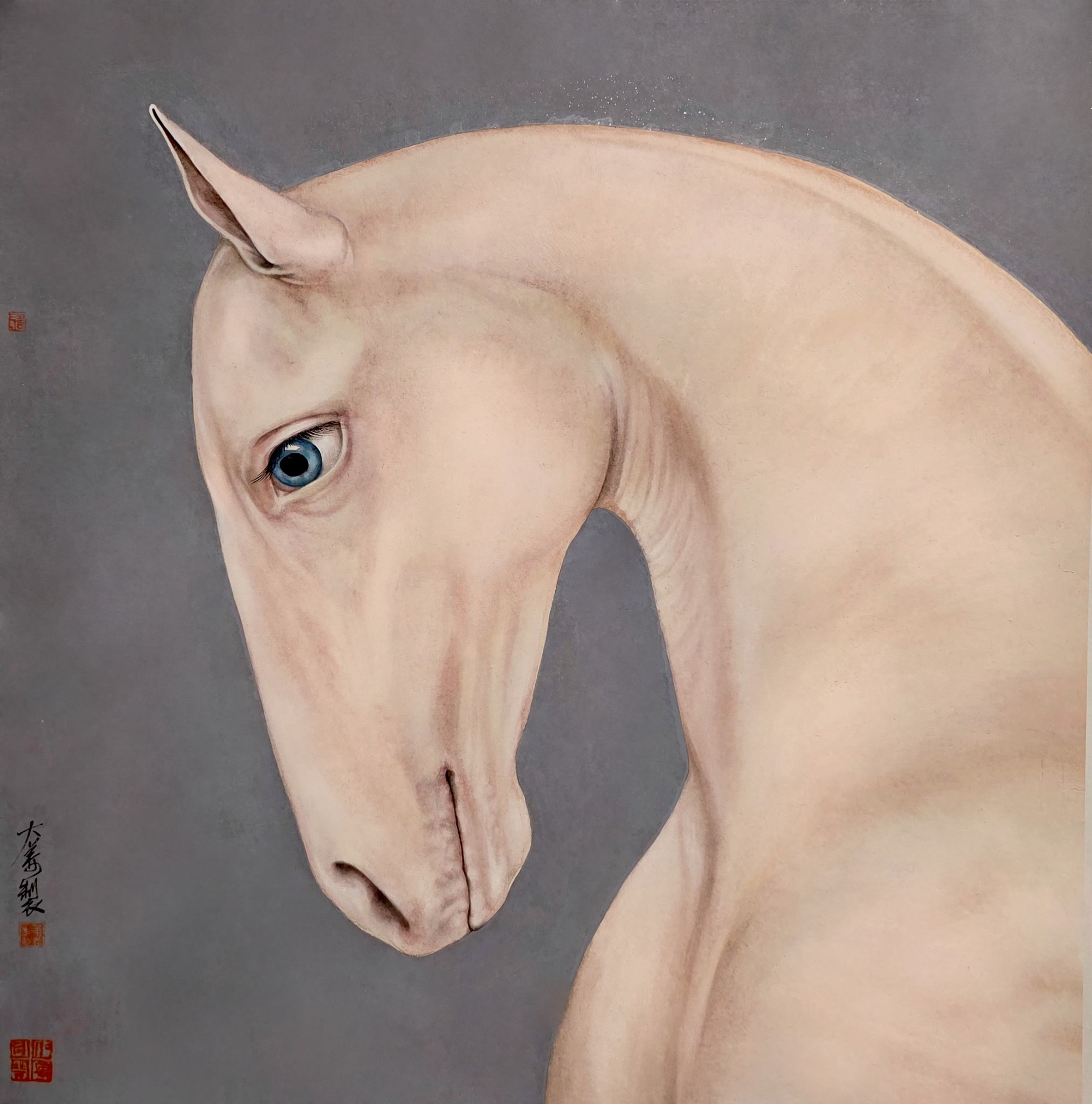 A close portrait of a white horse against a pale grey background