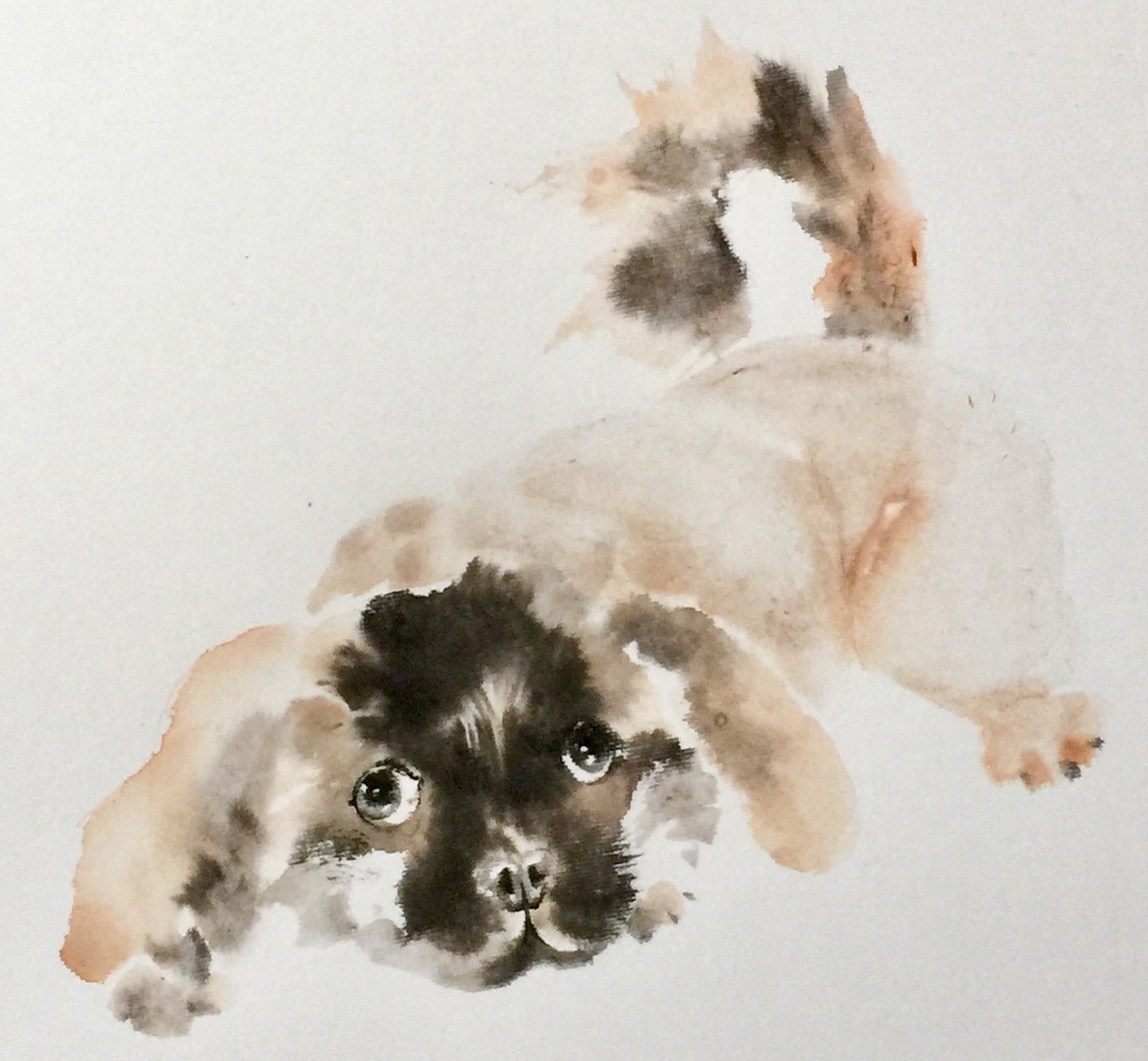 A low playful bow, soft ink and lively brushwork capture a dog in motion.